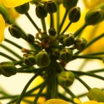 Impressum - Andrea Kempf, Heilpraktikerin für Psychotherapie