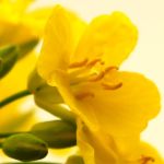 Andrea Kempf - Heilpraktikerin für Psychotherapie